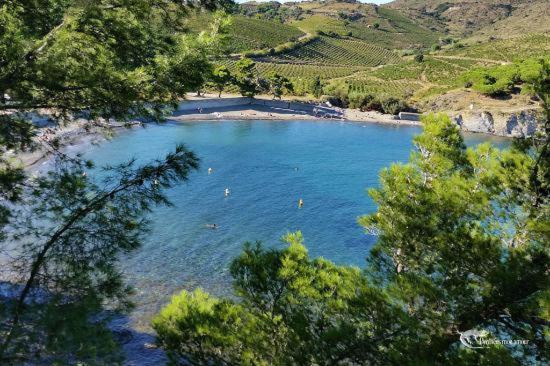 Appart Coeur De Village - Proche Des Criques Port Vendres Exterior foto